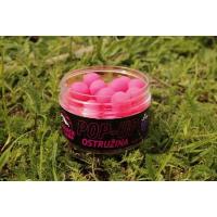 pop up krill ostruina