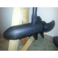 Elektromotor Haswing 55 Lb
