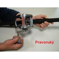 Pravoruk 