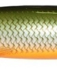 Wobler Rapala Minnow Spoon 07 RFSH