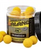 Boilies Balanc Vclavk - Slunenice