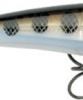 Wobler Rapala X Rap 06 MD